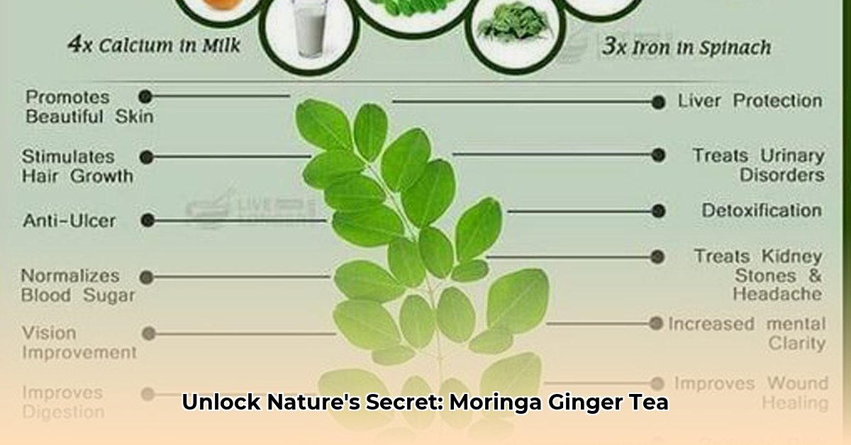 benefits-of-moringa-ginger-tea